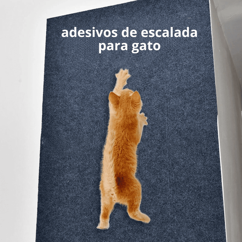 Adesivo Protetor CatControl©