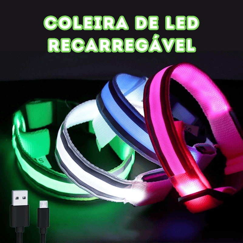 Coleira de Led Recarregável GlowDog©