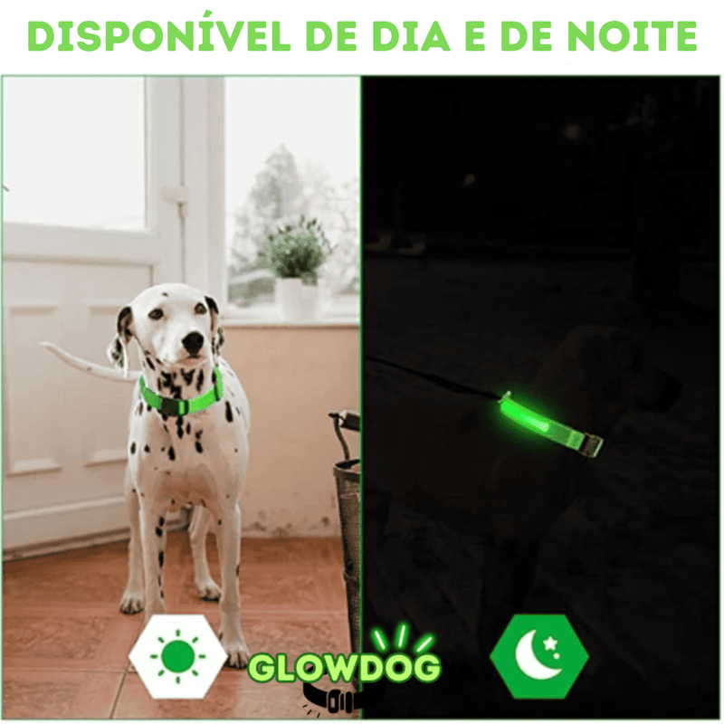 Coleira de Led Recarregável GlowDog©