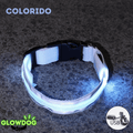 Coleira de Led Recarregável GlowDog©