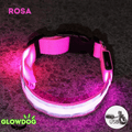 Coleira de Led Recarregável GlowDog©