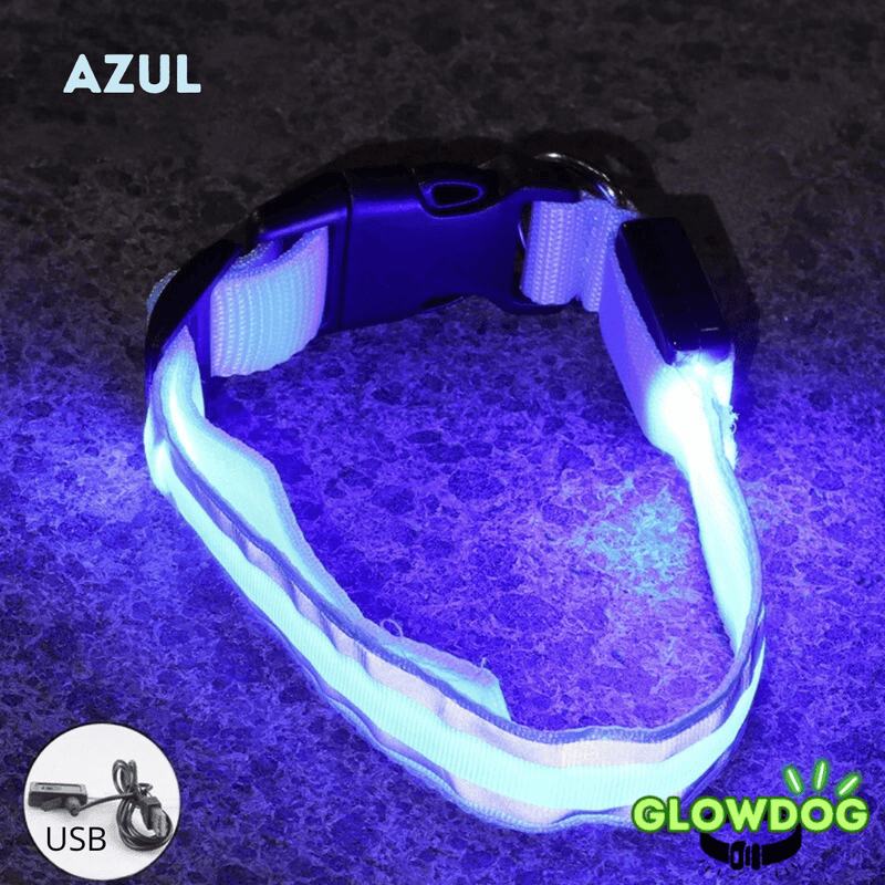 Coleira de Led Recarregável GlowDog©