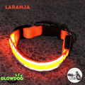 Coleira de Led Recarregável GlowDog©