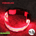 Coleira de Led Recarregável GlowDog©