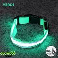 Coleira de Led Recarregável GlowDog©